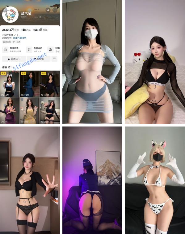 抖音超150万粉-盐汽喵 私密视频秀 内衣骚舞 情趣诱惑【15V】【455M】